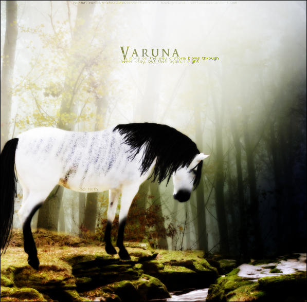 Varuana Varuna by aondarii on DeviantArt
