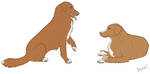 Two Tollers by Cutewolf