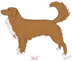Toller - Arni by Cutewolf