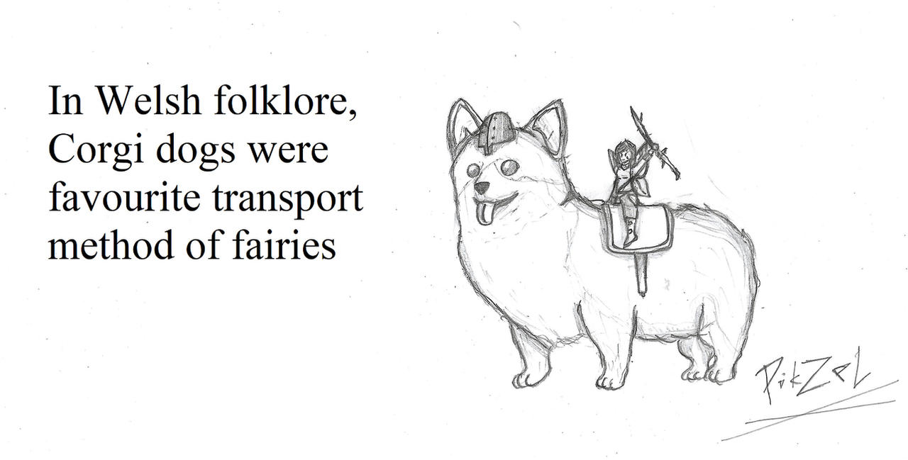 Corgi Rider Corgi Rider by ThePikzel on DeviantArt