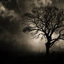 Dark tree