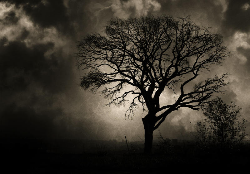 Tree Mdark Dark tree by twicemood on DeviantArt