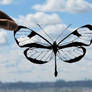 Butterfly Handmade Original Papercut