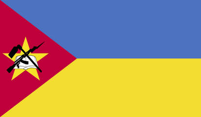Flag of the Owiniman Controlled Ukraine