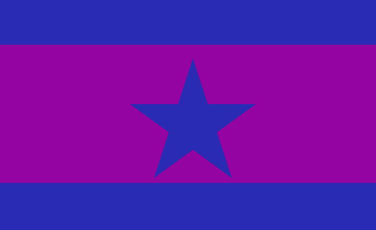 Flag of the United Carolina State