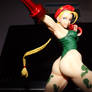 Cammy_3