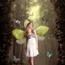 You Give Me Butterflies