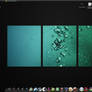 Desktop 2009-01-24