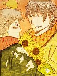 APH : Love is sunflowers