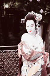 Maiko in Kyoto