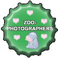 Zoo-photographers club