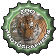 Zoo Photographers Bottle Cap