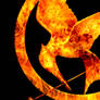 Mockingjay