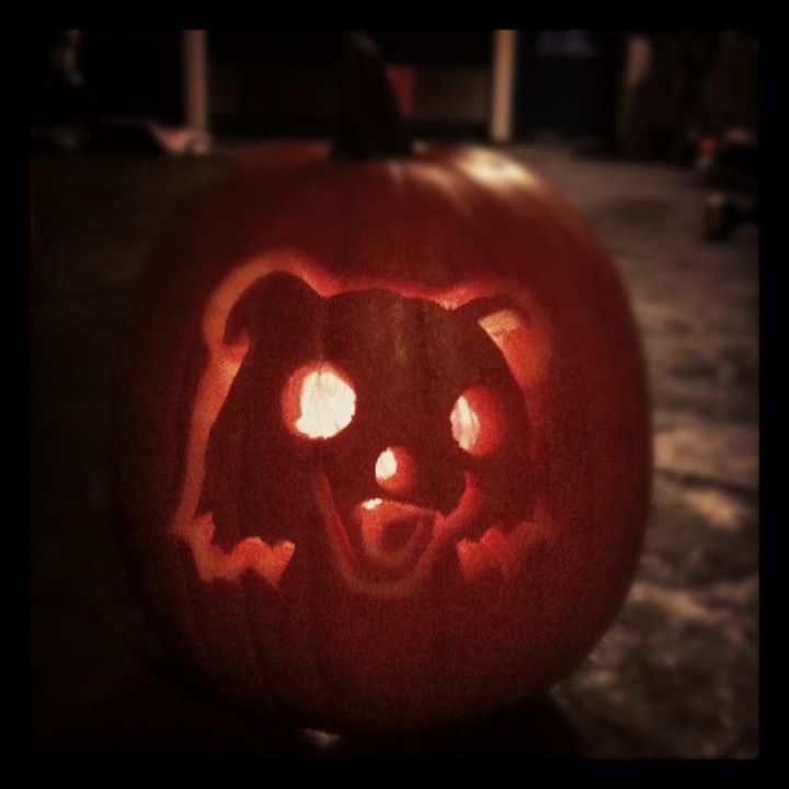 Pumpkin Pedo