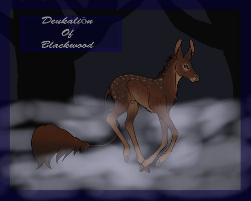 Deukalion|Blackwood|Herd Fawn