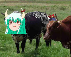 Keine Cow Thing
