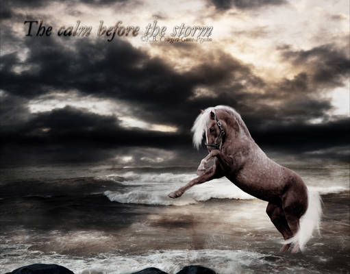 Before the Storm - Horse