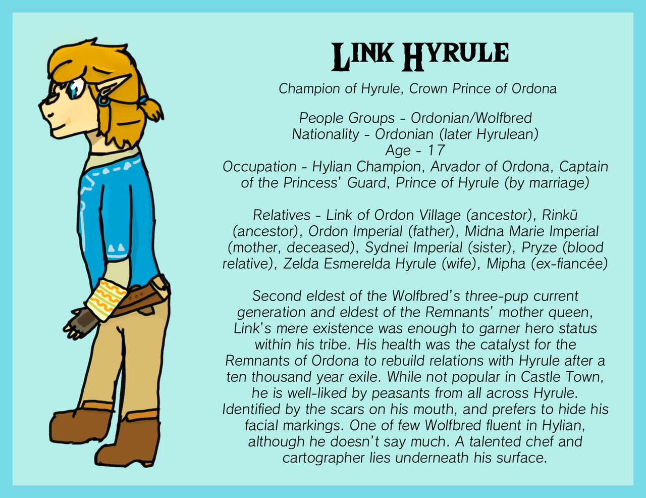Link Hyrule Reference Sheet by Sunset-Peril on DeviantArt