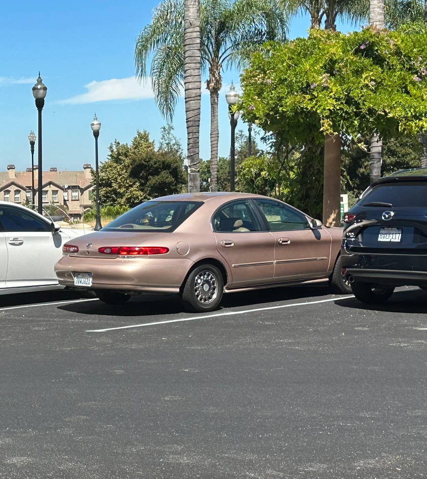 91 Sable Mercury Sable (Photo 3) by Carspotter5 on DeviantArt