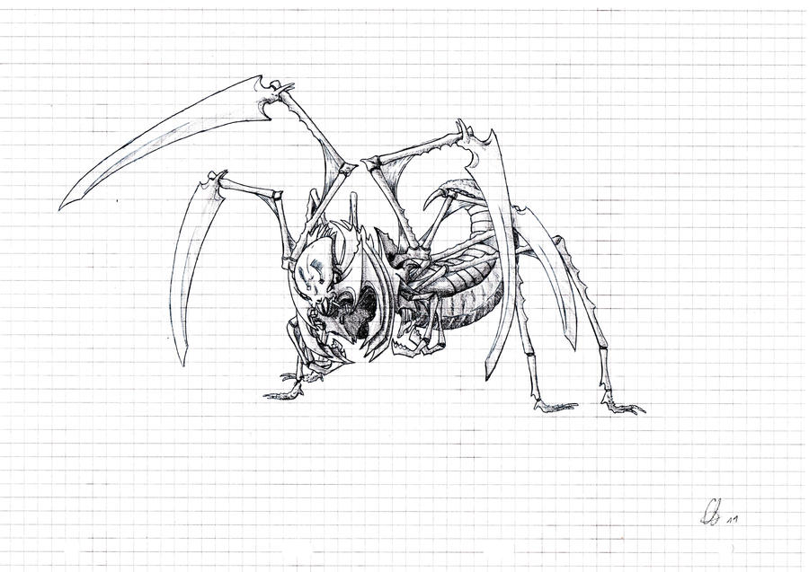 Insect swords by semvisepacco on DeviantArt