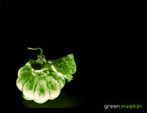 green pumpkin