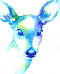 Rain-Deer