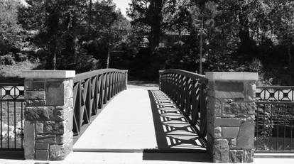 Black and White Bridge