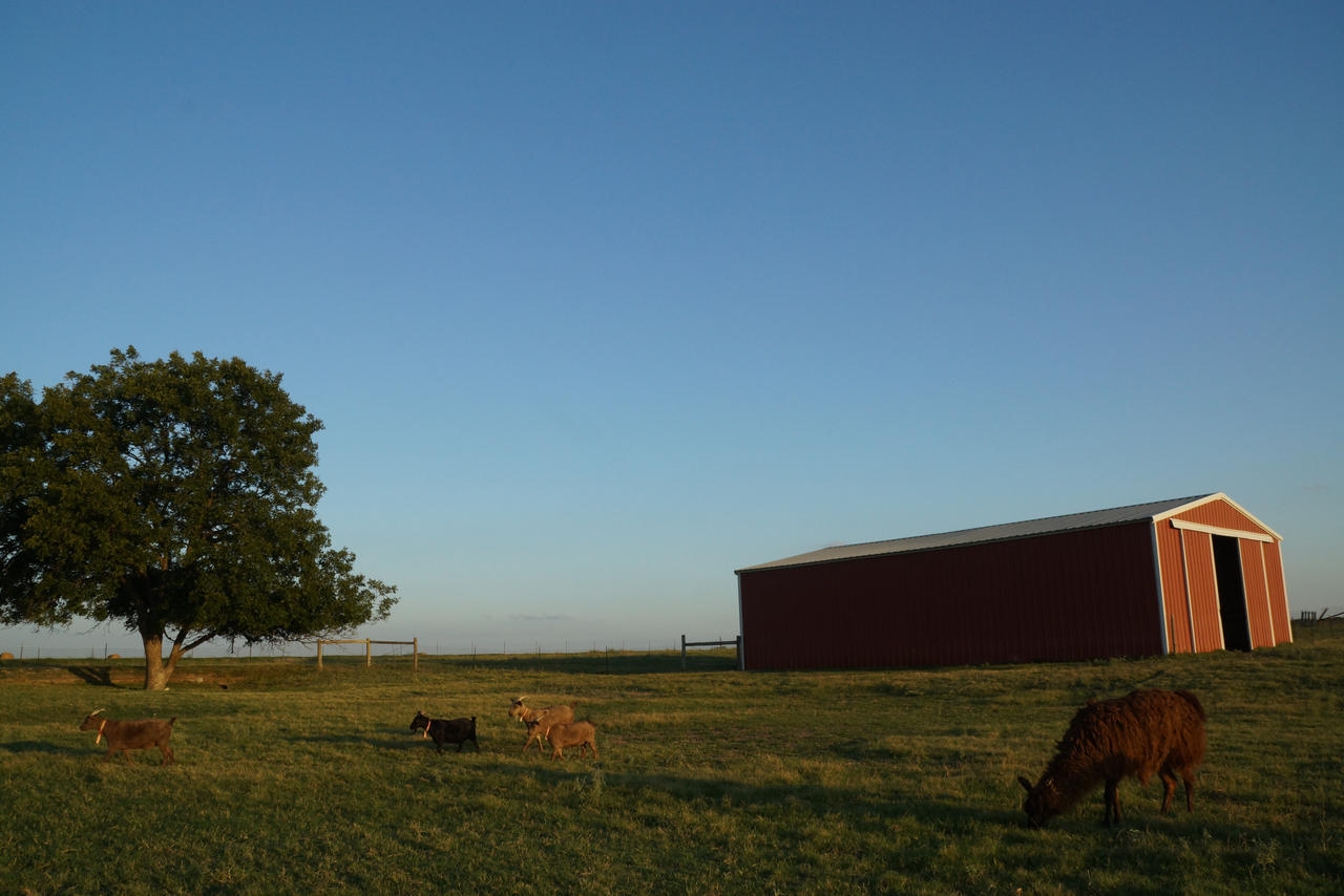 Goat Barn