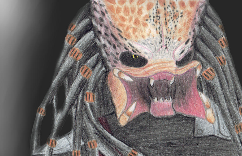 Predator | Colored Pencil by LimeLit on DeviantArt