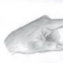 Pointing Hand|Anatomy Study