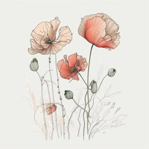 Poppies are so calming