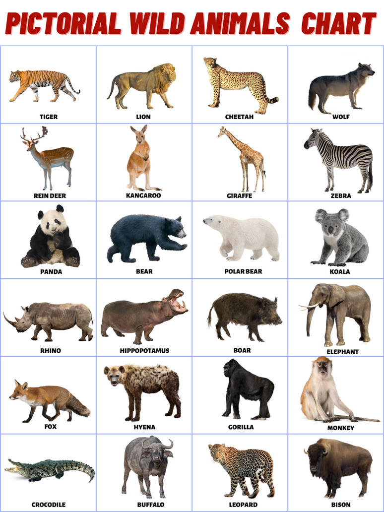 10. Pictorial Wild Animals Chart by ZENART07 on DeviantArt