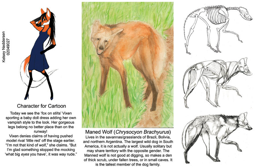 Maned Wolf by kelseyleah on DeviantArt