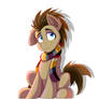 Doctor Whooves