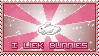 I liek Bunnies