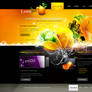 lemonet homepage