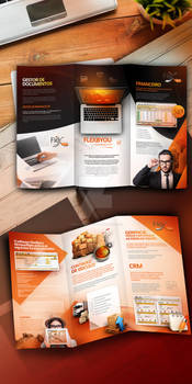 FLEXBYOU - 3fold brochure design