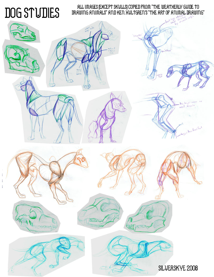 StudyStudyStudy01 by SilverSkye on DeviantArt StudyStudyStudy01 by SilverSkye on DeviantArt