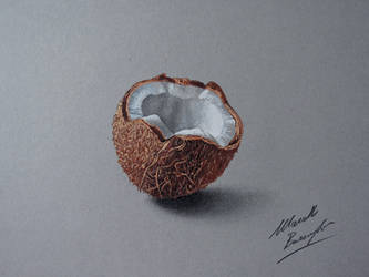 Coconut DRAWING by Marcello Barenghi