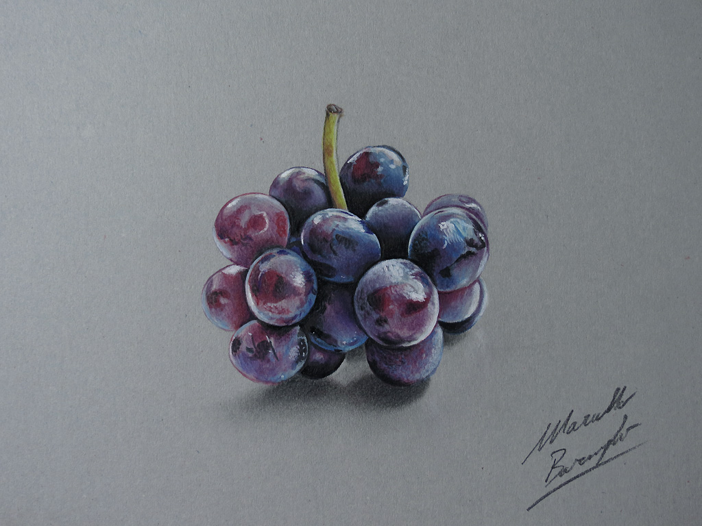 Drawing Grapes by Marcello Barenghi