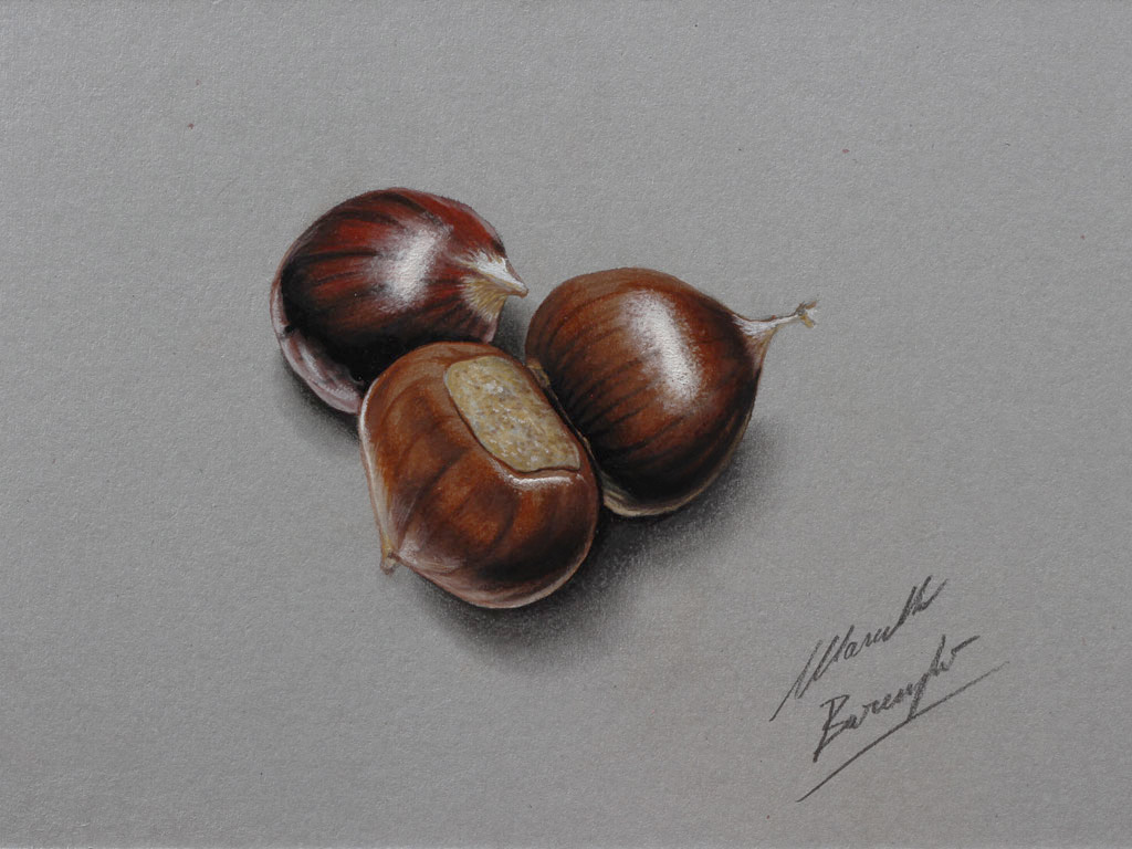 Chestnuts DRAWING by Marcello Barenghi