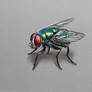The fly DRAWING by Marcello Barenghi