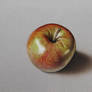 Shiny Apple DRAWING by Marcello Barenghi