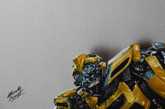 Bumblebee DRAWING by Marcello Barenghi