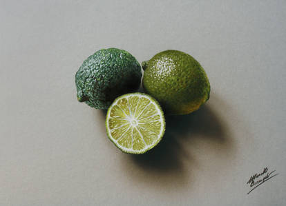 3D Drawing: Limes