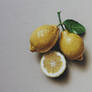 Still Life Drawing Lemons