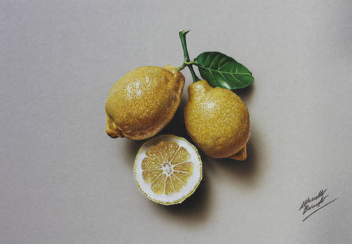 Still Life Drawing Lemons