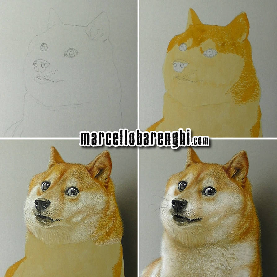 Doge meme drawing step by step by marcellobarenghi on DeviantArt