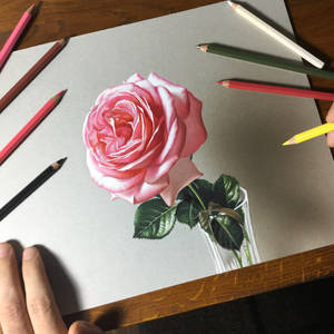 Drawing Rose Flower