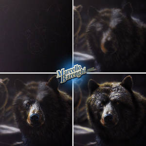 Bear Drawing on black paper